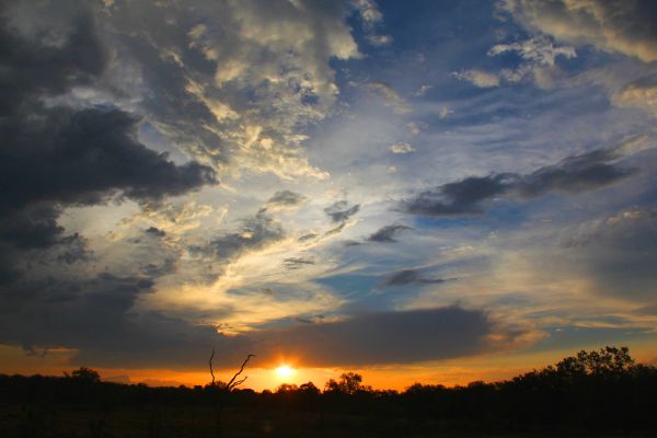 img-00592a37e82f-4808-900e-2851-f6b26a77e47d025f2daf-d0ee-cd62-65d5-368e635c81a452AA5C23-1AE4-3351-5725-112AEB83B038.jpg